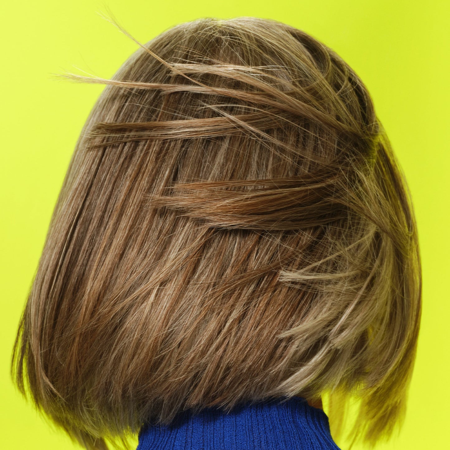 frizz-to-rizz-trio-o6 111725_Vicky_HumidityAntifrizz-Editorial_0538_w2QC_IGF_1x1_05a09617-4ccf-44a2-8545-199321a503e1.jpg