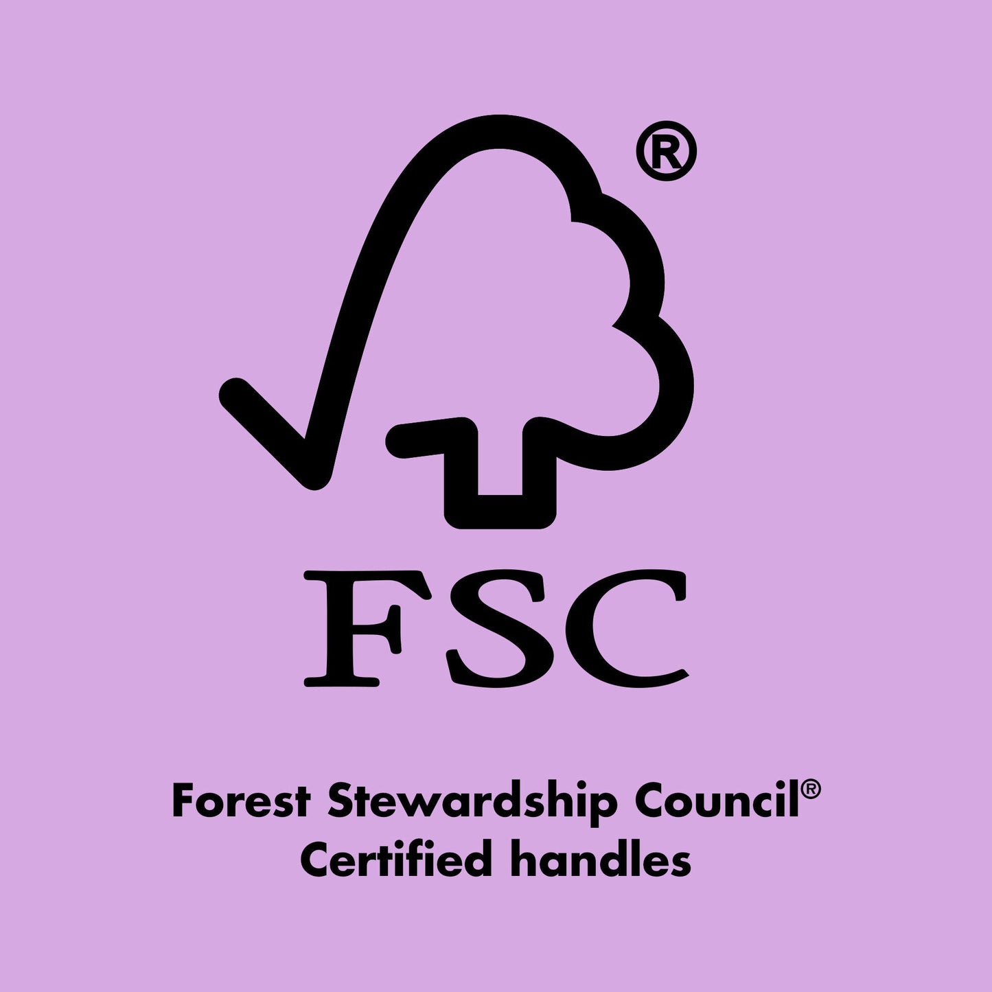 ten-out-of-ten-brush-kit-w2 0423_EDUCATION_FSC_EVERGREEN.jpg