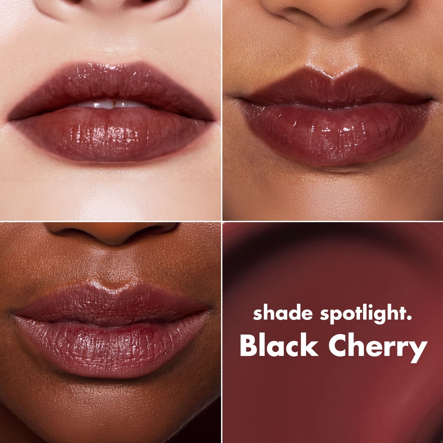 lip-lacquer-c5 0426_EDU_LipLaquer_ShadeChart_BlackCherry.jpg