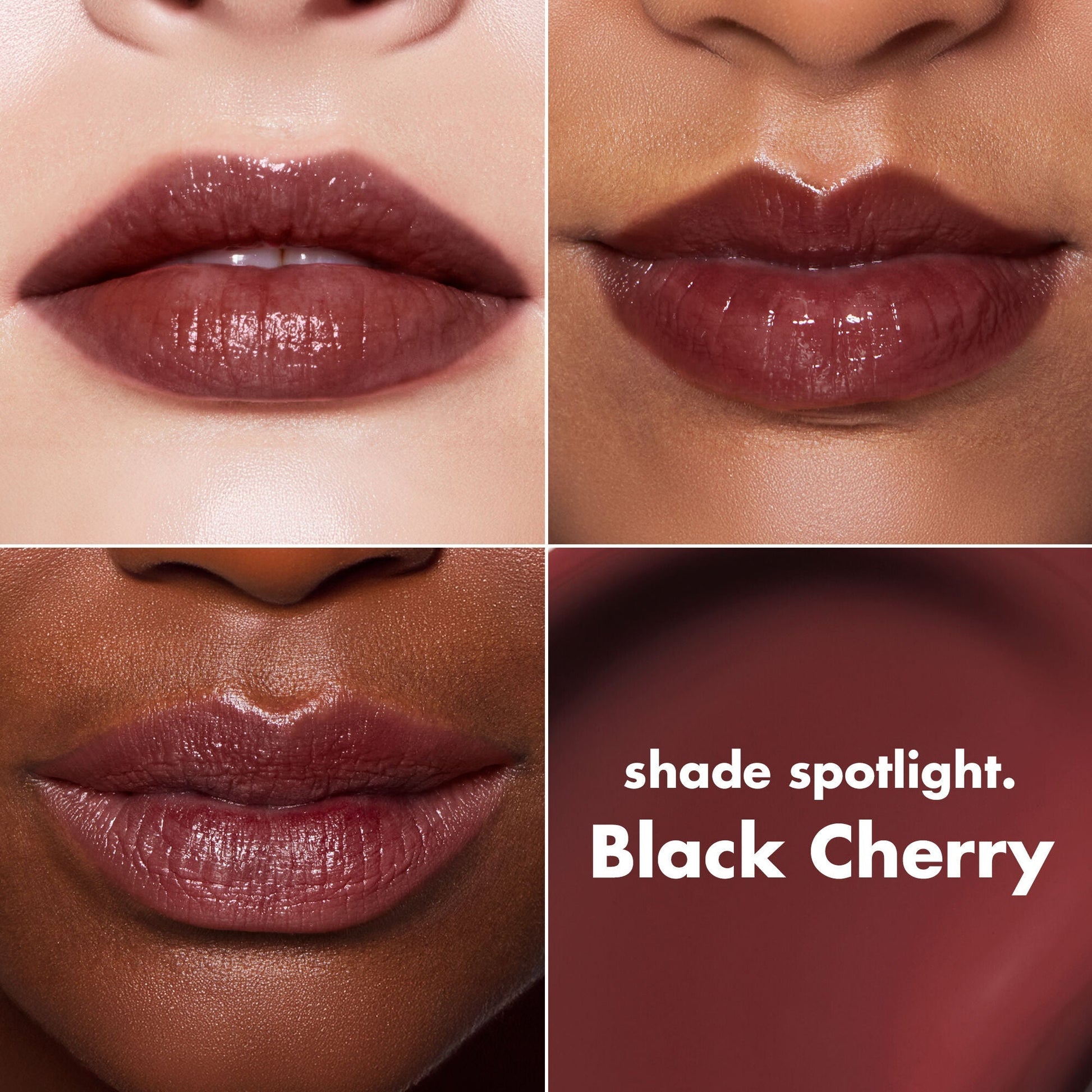 lip-lacquer-c5 0426_EDU_LipLaquer_ShadeChart_BlackCherry.jpg