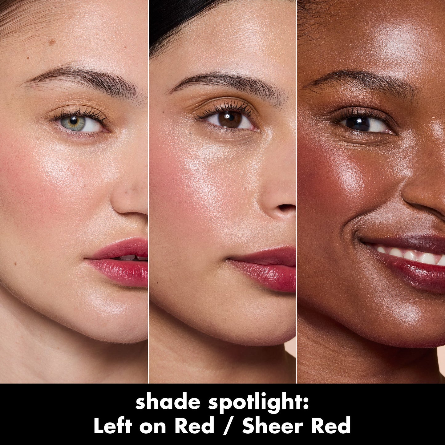 sheer-for-it-blush-tint-i7 0526_SEO_SheerForIt_ShadeSpotlight_LeftOnRed.jpg