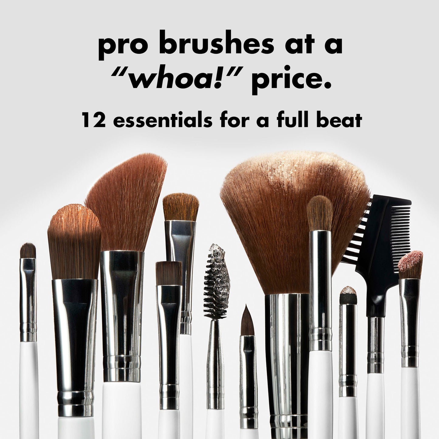 professional-set-of-12-makeup-brushes-v0 0823_PDP_BRUSHES_12-PIECE_SET_PRODUCT.jpg
