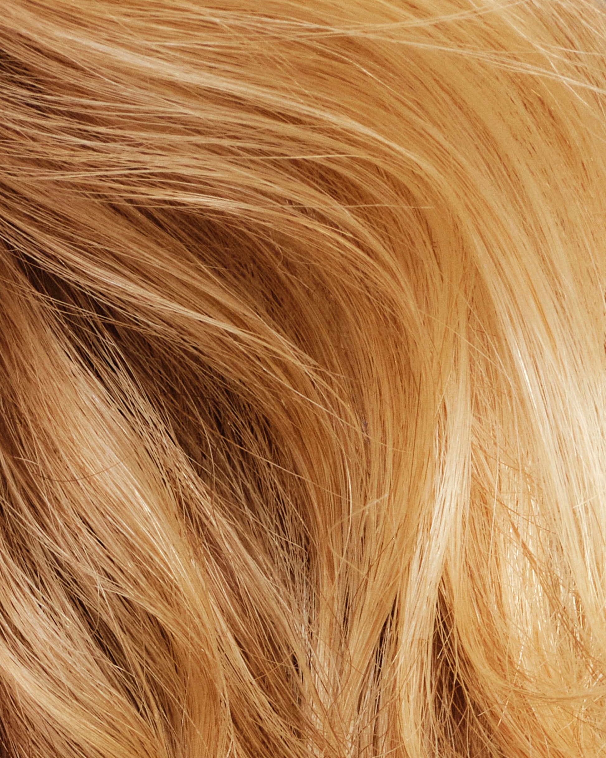 never-thirsty-moisturizing-shampoo-x6 111925_Anna_ThirstyShampoo-Product_3353_w4QC_V2_IGF_4x5_527d5445-92a2-4169-a5e5-062d364160a9.jpg