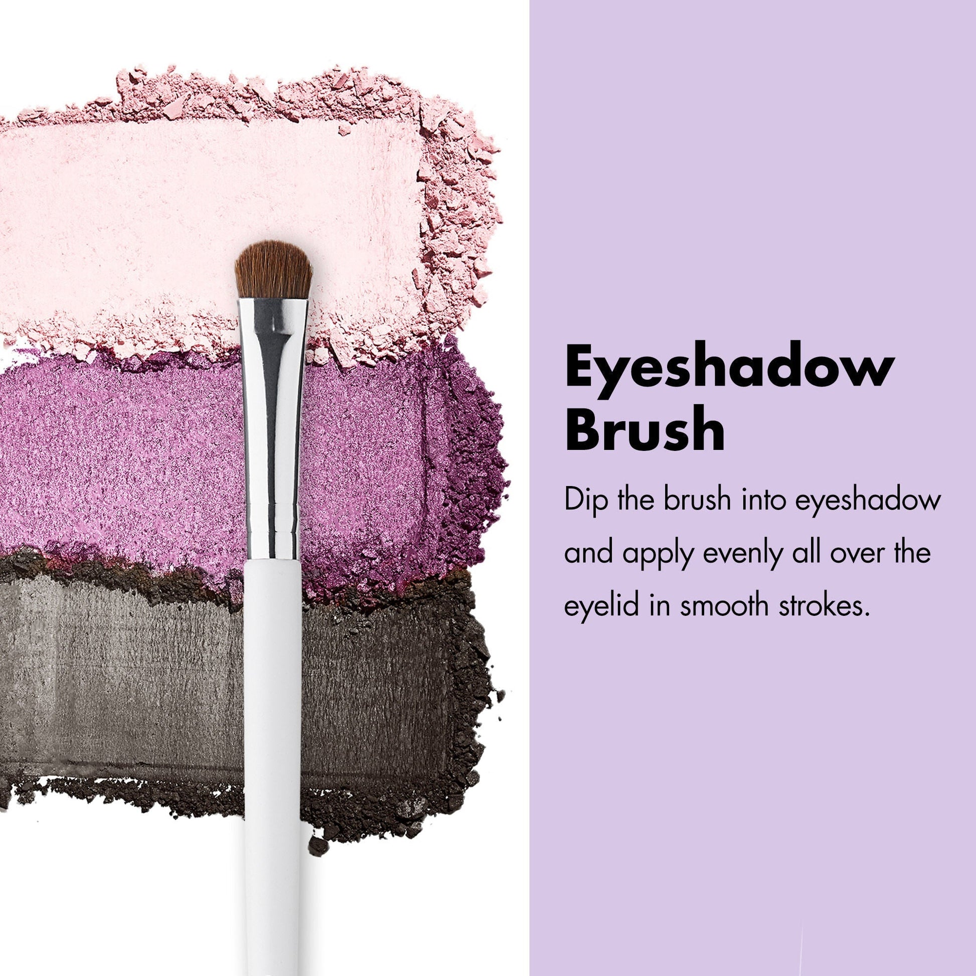 professional-set-of-12-makeup-brushes-v0 ProfessionalBrushes_Eye_EyeshadowBrush_PDP_Edu_2000x2000_2418e3b8-bb65-4e6d-af53-e6d0aab002ae.jpg